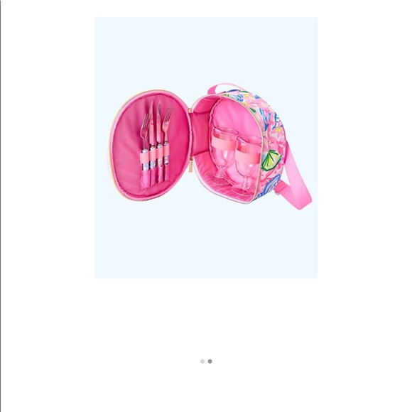 Lilly Pulitzer Other - Beautiful Lilly picnic set gorgeous